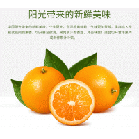 九九东家阳光脐橙