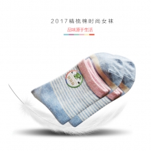 精梳棉时尚绚彩女袜