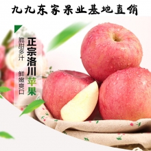 亲子水果套餐二